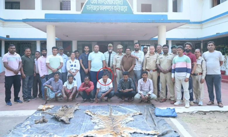बाघ और तेंदुए के शिकार में शामिल डिप्टी रेंजर सहित 9 आरोपी गिरफ्तार बाघ और तेंदुए के शिकार में शामिल डिप्टी रेंजर सहित 9 आरोपी गिरफ्तार