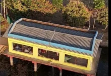 तालाब के ऊपर मुर्गी पालन कर खेती को और अधिक लाभकारी बनाया