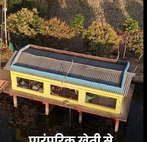 तालाब के ऊपर मुर्गी पालन कर खेती को और अधिक लाभकारी बनाया