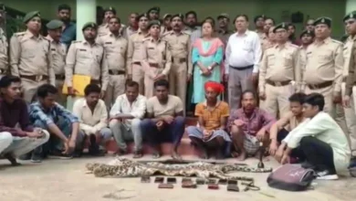 तेंदुए की खाल की तस्करी पर वन विभाग की बड़ी कार्रवाई, 9 आरोपी गिरफ्तार