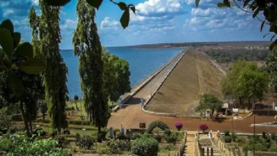 छत्तीसगढ़ में पहली बार गंगरेल में होगा भव्य ‘महानदी रिवर बोट चैंपियनशिप’