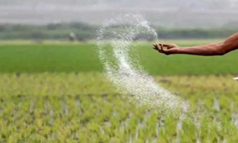 गैस आपूर्ति बढ़ने से यूरिया उत्पादन में 23% का बड़ा उछाल गैस आपूर्ति बढ़ने से यूरिया उत्पादन में 23% का बड़ा उछाल