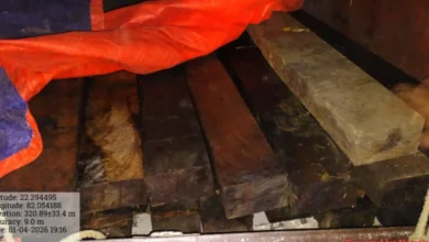 लकड़ी के अवैध परिवहन पर कार्रवाई, पिकअप वाहन जब्त