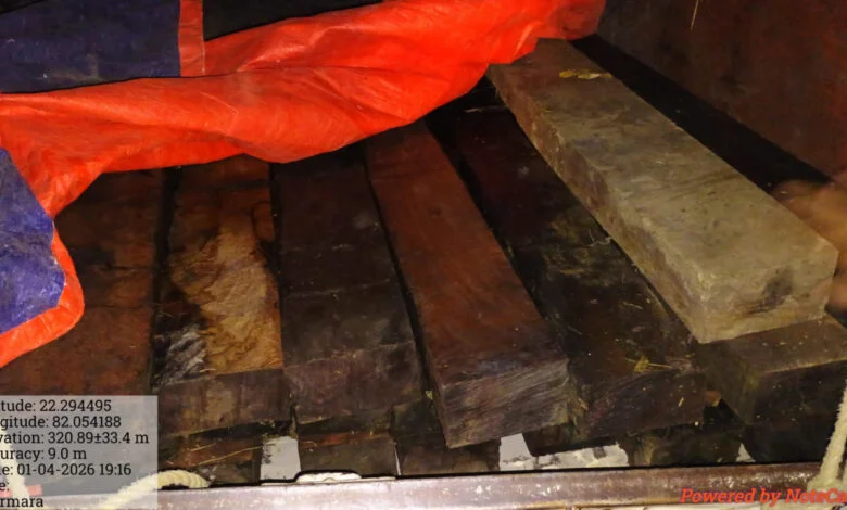 लकड़ी के अवैध परिवहन पर कार्रवाई, पिकअप वाहन जब्त