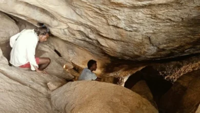 गढ़पहाड़ की गुफाओं में झलकती प्रागैतिहासिक सभ्यता की अनूठी विरासत