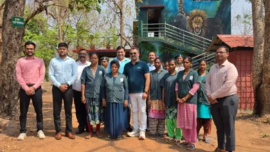 बंदूक से विकास की ओर: सुकमा के तुंगल इको-पर्यटन केंद्र की प्रेरक कहानी