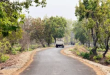 नक्सल गढ़ में विकास की नई जीत, पोलमपल्ली से अरलमपल्ली सड़क बनने से खुश है ग्रामीण