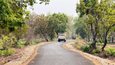 नक्सल गढ़ में विकास की नई जीत, पोलमपल्ली से अरलमपल्ली सड़क बनने से खुश है ग्रामीण