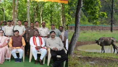 लगभग 100 वर्ष पहले प्रदेश की धरती से विलुप्त हो गई थी जंगली भैंसें प्रजाति