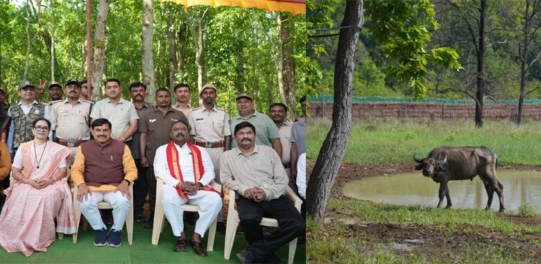 लगभग 100 वर्ष पहले प्रदेश की धरती से विलुप्त हो गई थी जंगली भैंसें प्रजाति