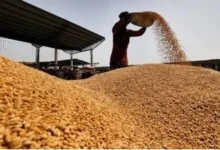 समर्थन तथा बाज़ारों के स्थिरीकरण के लिए अतिरिक्त 25 लाख मीट्रिक टन गेहूं के निर्यात को मंज़ूरी दी