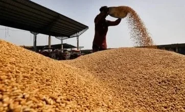 समर्थन तथा बाज़ारों के स्थिरीकरण के लिए अतिरिक्त 25 लाख मीट्रिक टन गेहूं के निर्यात को मंज़ूरी दी