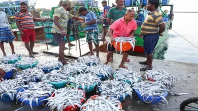 भारत के समुद्री खाद्य पदार्थों का निर्यात 72,000 करोड़ रुपये से अधिक, अमेरिका और चीन शीर्ष आयातक बने रहे