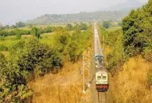 भारतीय रेलवे ने जोनों में लगाए 81 लाख 59 हजार पेड़, ट्रैक के किनारे वृक्षारोपण से मिट्टी का कटाव रुका
