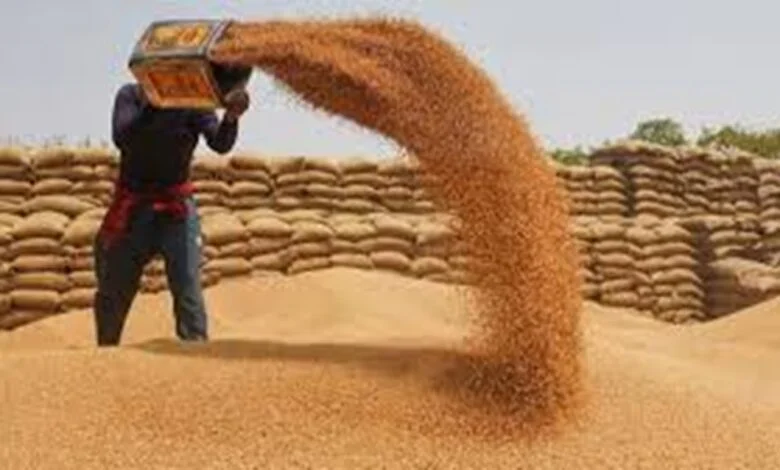 सरकार ने छत्तीसगढ़ में न्यूनतम समर्थन मूल्य खरीद को किया मजबूत, बिहार में पहली बार संगठित तरीके से दलहन खरीद
