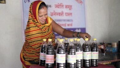 आत्मनिर्भरता की मिसाल: औराटोला बना बालोद का पहला लखपति दीदी ग्राम