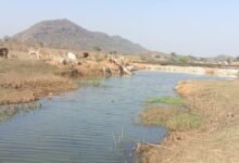 मनरेगा से पनारी नाले का जीर्णोद्धार: 1200 ग्रामीणों को पेयजल व सिंचाई का लाभ