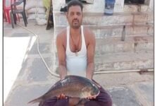 सफलता की कहानी मछली पालन से आत्मनिर्भर बने प्रकाश धीवर क्षेत्र के 20 लोगों को दे रहे रोजगार