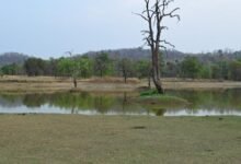 जल प्रबंधन का ऐसा मॉडल जो पूरे देश के लिए बना मिसाल