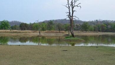 जल प्रबंधन का ऐसा मॉडल जो पूरे देश के लिए बना मिसाल