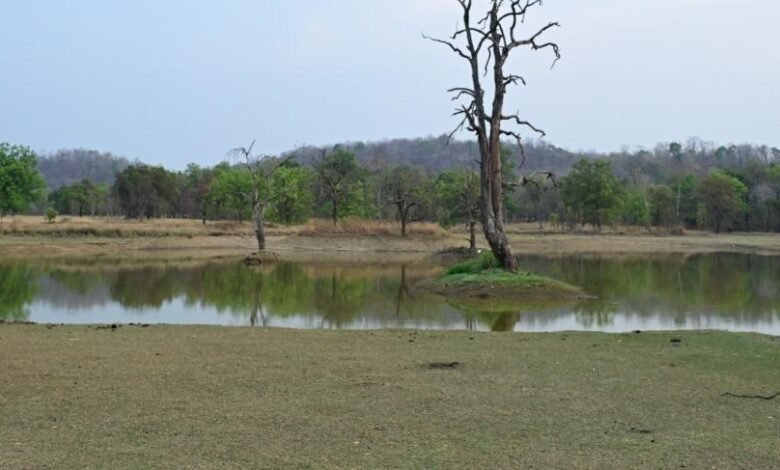 जल प्रबंधन का ऐसा मॉडल जो पूरे देश के लिए बना मिसाल