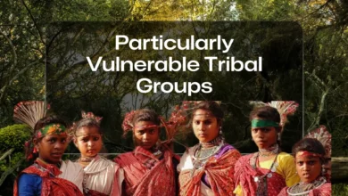 सर्वे सेतु ऐप से PVTG बसाहटों का शत-प्रतिशत सैचुरेशन सुनिश्चित होगा:- प्रमुख सचिव सोनमणि बोरा