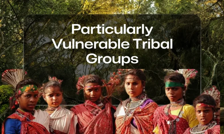 सर्वे सेतु ऐप से PVTG बसाहटों का शत-प्रतिशत सैचुरेशन सुनिश्चित होगा:- प्रमुख सचिव सोनमणि बोरा