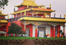 प्रकृति, शांति और तिब्बती संस्कृति का अद्भुत संगम-मैनपाट