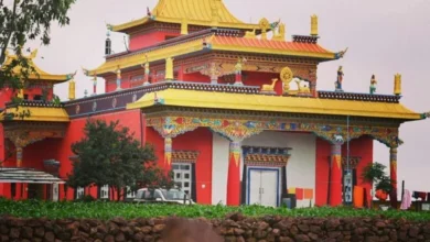 प्रकृति, शांति और तिब्बती संस्कृति का अद्भुत संगम-मैनपाट