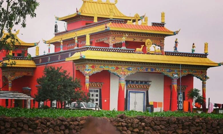 प्रकृति, शांति और तिब्बती संस्कृति का अद्भुत संगम-मैनपाट