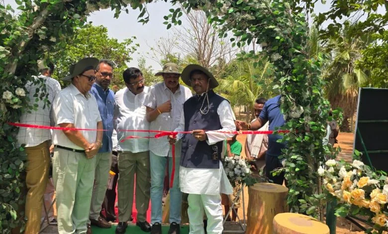 नंदनवन जू और जंगल सफारी में शुरू हुई इलेक्ट्रिक सफारी और बोटिंग सुविधा नंदनवन जू और जंगल सफारी में शुरू हुई इलेक्ट्रिक सफारी और बोटिंग सुविधा