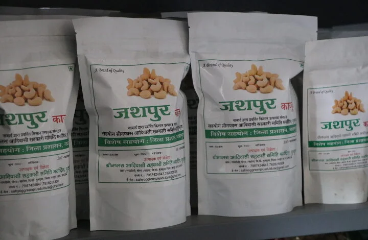 जशपुर का काजू बना किसानों की समृद्धि की नई पहचान