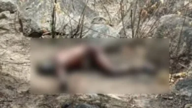 युवक का शव मिलने से सनसनी, गांव में भय का माहौल