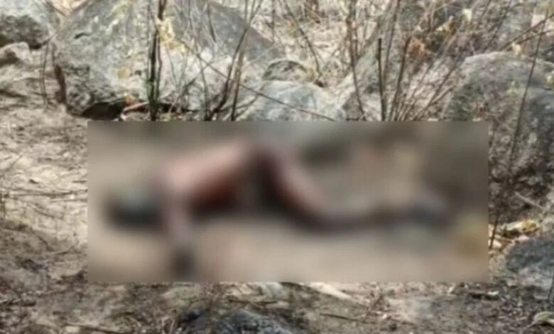 युवक का शव मिलने से सनसनी, गांव में भय का माहौल
