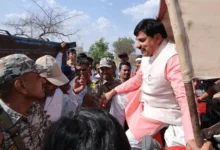 गेहूँ उपार्जन में कोई भी लापरवाही नहीं की जायेगी बर्दाश्त : मुख्यमंत्री
