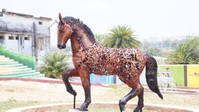 ​कबाड़ में जान फूंक दी जशपुर के ‘वेस्ट टू बेस्ट’ इको पार्क ने, नवाचार और संरक्षण का बना छत्तीसगढ़ में मॉडल