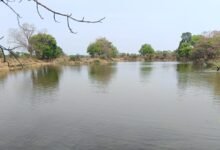 मुख्यमंत्री श्री साय की मंशा के अनुरूप सूखते तालाबों को*जीवनदान देने जल संसाधन विभाग का विशेष अभियान