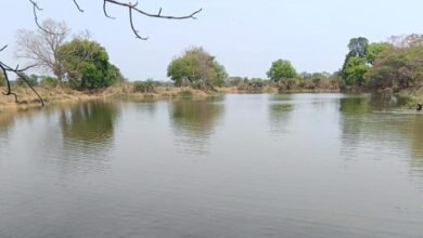 मुख्यमंत्री श्री साय की मंशा के अनुरूप सूखते तालाबों को*जीवनदान देने जल संसाधन विभाग का विशेष अभियान मुख्यमंत्री श्री साय की मंशा के अनुरूप सूखते तालाबों को*जीवनदान देने जल संसाधन विभाग का विशेष अभियान