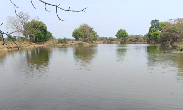 मुख्यमंत्री श्री साय की मंशा के अनुरूप सूखते तालाबों को*जीवनदान देने जल संसाधन विभाग का विशेष अभियान मुख्यमंत्री श्री साय की मंशा के अनुरूप सूखते तालाबों को*जीवनदान देने जल संसाधन विभाग का विशेष अभियान