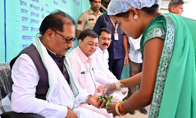 लखपति दीदी मंजू की संघर्षगाथा बनी आत्मनिर्भरता की प्रेरक मिसाल लखपति दीदी मंजू की संघर्षगाथा बनी आत्मनिर्भरता की प्रेरक मिसाल