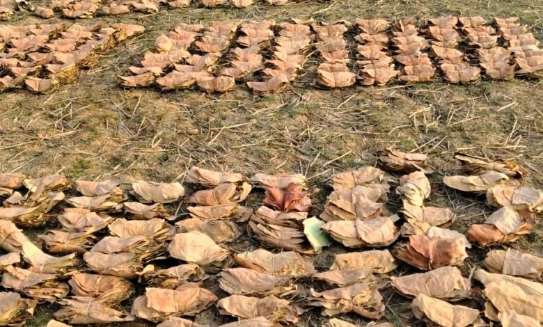 वन है तो जीवन है : वन विभाग की योजनाओं से हजारों परिवारों को मिल रहा सहारा वन है तो जीवन है : वन विभाग की योजनाओं से हजारों परिवारों को मिल रहा सहारा