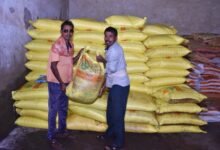 जिले में कुल 41509 मीट्रिक टन खाद उपलब्ध, विगत वर्ष की तुलना में 34 प्रतिशत अधिक