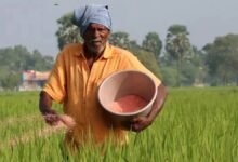 सैकड़ों किसानों को मिली राहत; खाद-बीज वितरण फिर शुरू
