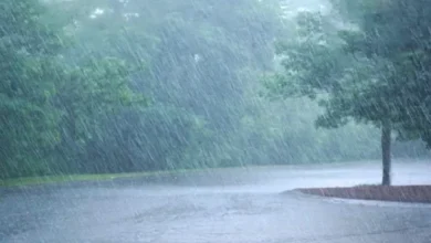 मानसून की वेटिंग : अगले पांच दिनों तक मौसम का मिजाज बदला रहेगा