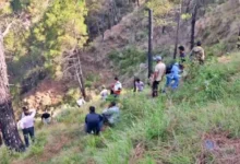 हिमाचल में बोलेरो अनियंत्रित होकर खाई में गिरी, सात ने तोड़ा दम