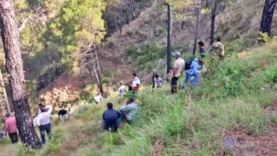 हिमाचल में बोलेरो अनियंत्रित होकर खाई में गिरी, सात ने तोड़ा दम