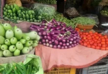 सब्जी उत्पादन में 21.58 लाख मीट्रिक टन की वृद्धि, मध्यप्रदेश देश में सब्जी उत्पादन में तीसरे स्थान पर