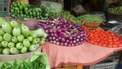 सब्जी उत्पादन में 21.58 लाख मीट्रिक टन की वृद्धि, मध्यप्रदेश देश में सब्जी उत्पादन में तीसरे स्थान पर