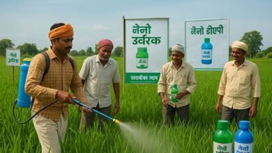 रामाराम जलाशय योजना के जीर्णाेद्धार के लिए 1.16 करोड़ रुपये स्वीकृत