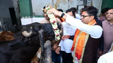 जन्मदिवस के अवसर पर वित्त मंत्री श्री ओपी चौधरी ने की गौ-सेवा, संरक्षण के प्रयासों को सराहा